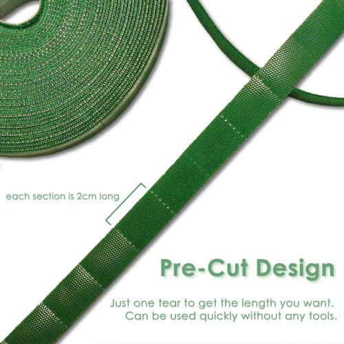 Garden Tie Green Strap Plant Supports Gentle on Plants Pre-Cut Design Tearable Reusable Sturdy Multi-Purpose for Home Garden Balcony Office (32.8ft × 0.6 inch, 2 Rolls) - size: 65.6ft