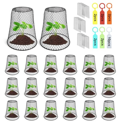 20 Pcs 6.8"×7.4" (Multiple Sizes/Quantities Available) Seedling Plant Protectors from Animals, Chicken Wire Plant Cage Garden Cloche to Protect Plants Vegetables from Rabbits Squirrels Chicken ﻿ - size: 6.8"×7.4"