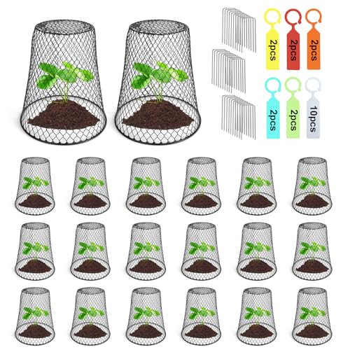 20 Pcs 6.8"×7.4" (Multiple Sizes/Quantities Available) Seedling Plant Protectors from Animals, Chicken Wire Plant Cage Garden Cloche to Protect Plants Vegetables from Rabbits Squirrels Chicken ﻿ - size: 6.8"×7.4"