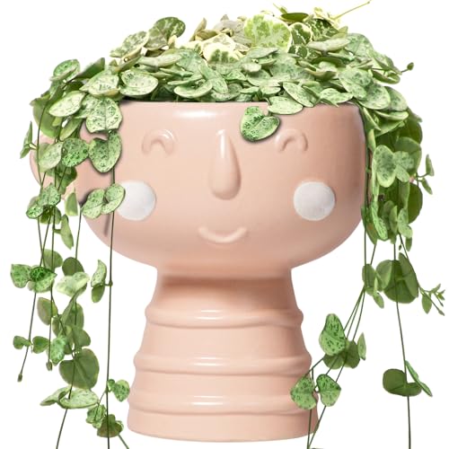 Face Planter Pots Head 7 Inch - Ceramic Face Pot for Plants Indoor Outdoor, Cute Decorative Plant Pots with Drainage Hole, Succulent Planters, Living Room Decor, Valentine Gifts, Matte Pink - color: Matte Pink-boy