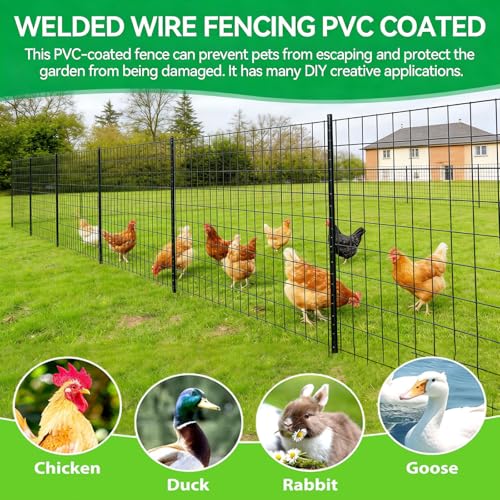 Welded Wire Fence 24inch x 50ft, 2inch x 3inch Black Chicken Wire Fencing, 16Gauge PVC Coated Garden Wire Fence Rolls, Anti-Rust Metal Fencing for Yard Plant Protection Poultry Netting - size: 2ft x 50ft
