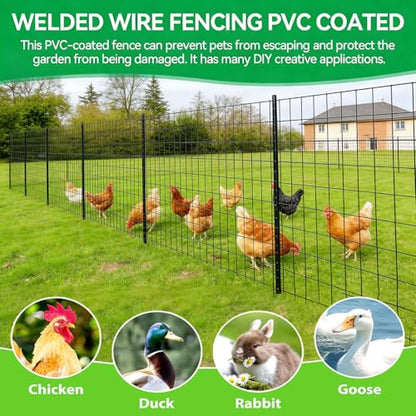 Welded Wire Fence 36inch x 50ft, 2inch x 3inch Black Chicken Wire Fencing, 16Gauge PVC Coated Garden Wire Fence Rolls, Anti-Rust Metal Fencing for Yard Plant Protection Poultry Netting - size: 3ft x 50ft