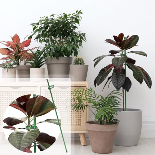 Coloch 48 Pack Plant Support Stakes, 11 Inch&17 Inch Height Adjustable Garden Plant Stake Orchid Sticks with 48 Clips and 24 Links Potted Plant Support for Orchid, Amaryllis, Tomato, Indoor&Outdoor