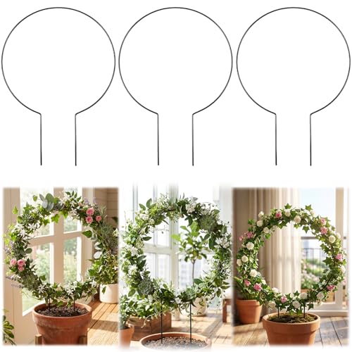 3 Pack Small Round Metal Plant Trellis, 11 Inch Black Iron Trellis