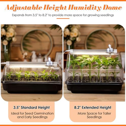 Seed Starter Tray with Grow Light and Heated Base for Faster Germination