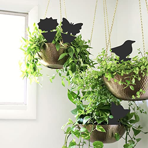 36 Pack Fungus Gnat Traps for House Plants, Sticky Traps for Indoor Outdoor Use to Get Rid of Whitefly Mosquitoes Fungus Gnats Thrips Leafminer Flying Insects Protect Your Plants (Black)