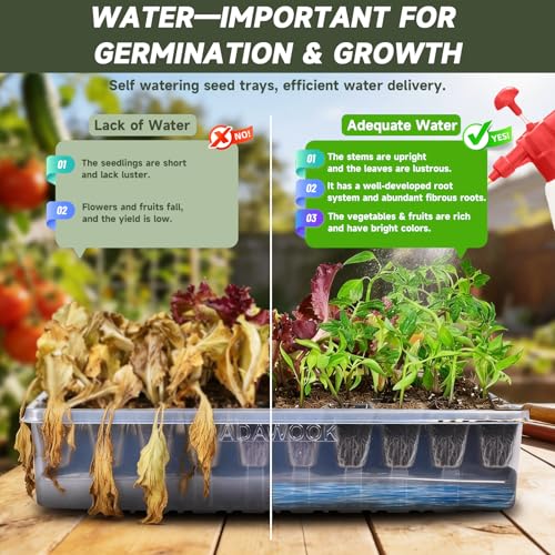 Adawook Self-Watering Seed Starter Tray, Seed Starter Kit Self Water, Germination Trays for Seed Starting with High Humidity Domes (Tray, 240 Cells)