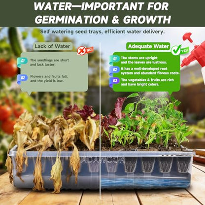 Adawook Self-Watering Seed Starter Tray, Seed Starter Kit Self Water, Germination Trays for Seed Starting with High Humidity Domes (Tray, 240 Cells)