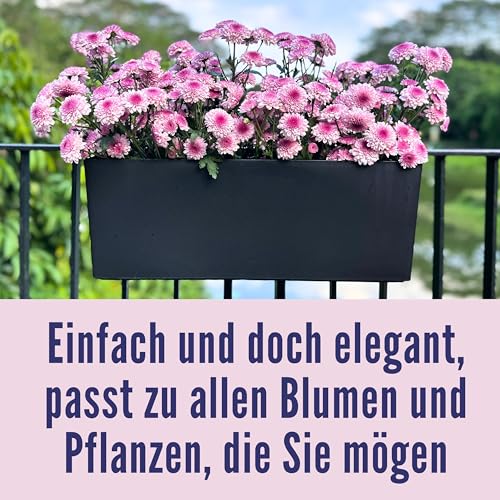 LaLaGreen Railing Planter Box (20 Inch, 4 Pack) Black Rectangular Window Flower Boxes with Bracket, Self Watering System Hanging Planter Box for Outdoor Plant Pots Container Deck Rail Fence Balcony - color: 20" X 4 (Black)