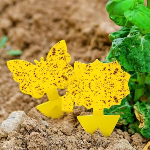 58 Pack Yellow Sticky Gnat Traps for Plants - Fungus Gnat Killer, Fruit Fly Traps for Indoors, Gnat Sticky Traps for Plants, Family Friendly Design, Sunflower + Butterfly Shapes
