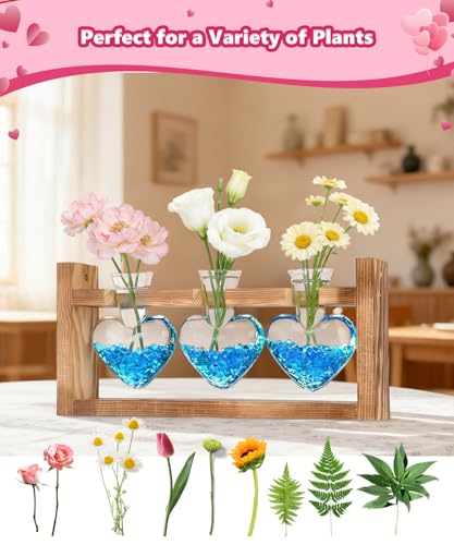 Nacome Plant Terrarium with Wooden Stand, 3 Heart Bulb Glass Vases - color: Transparent