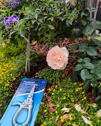 Fondwell 6" Small Pruning Shears Garden Scissors for Indoor Plants Trimming