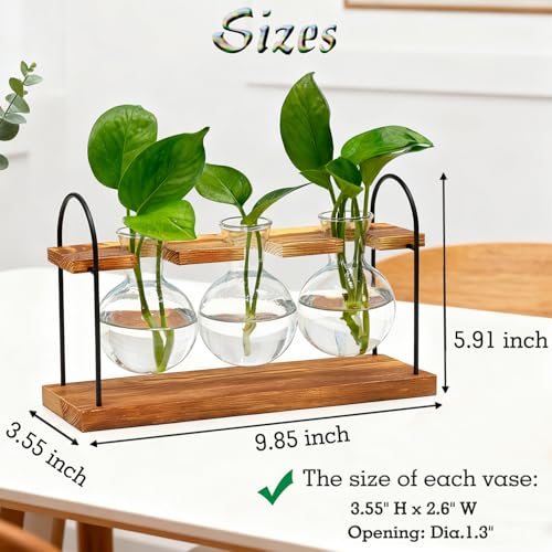 Plant Terrarium with Wooden Stand, Birthday Gift for Women Mom Plant Lover