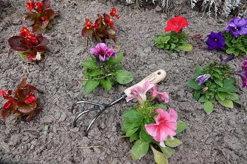 Dewit Cultivator Hand Tiller - 3-Tine, Short Handle, Works as Hoe - 11.5 in - Steel/Wood - size: 3-Tine, style: Short Handle