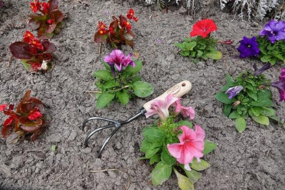 Dewit Cultivator Hand Tiller - 3-Tine, Short Handle, Works as Hoe - 11.5 in - Steel/Wood - size: 3-Tine, style: Short Handle