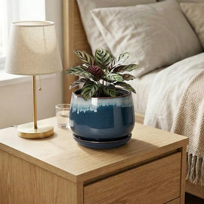 Ceramic Pots for Plants, 6 Inch Plant Pot Indoor, Retro Blue - size: 6 Inch, style: Retro