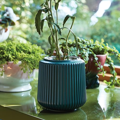 Modern Sprout Flower Grow Kit-Self-Watering Ceramic Planter-Daisy Daydream - color: Daisy Daydream