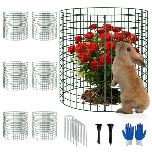 6 Pack Plant Protector, 12x14 Inch Metal Garden Cages for Rabbits - color: 6 Pack, size: 12x14 IN