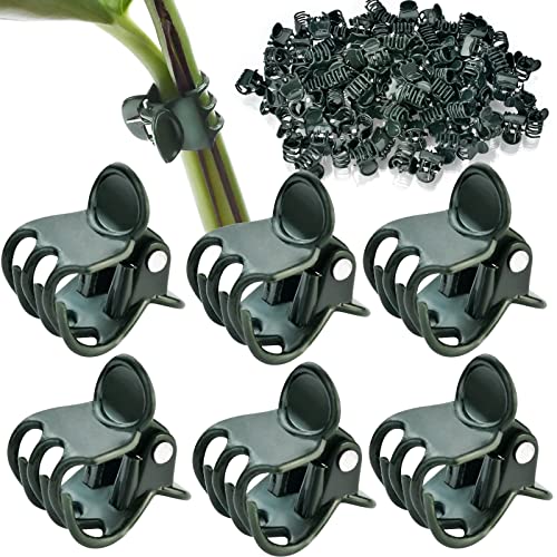 AccEncyc 100 Pcs Plant Clips Orchid Clips Plants Orchid Support Clips Flower Vine Clips for Supporting Stems Vines Stalks Climbing Plant Grow Upright - size: 100Pcs Classic