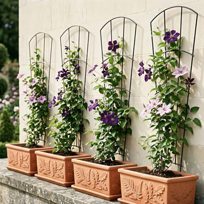 Thealyn 56" Tall Metal Plant Trellis for Climbing Plants, 8 Pack, Black - color: Black, size: 56 inch-8 Pack