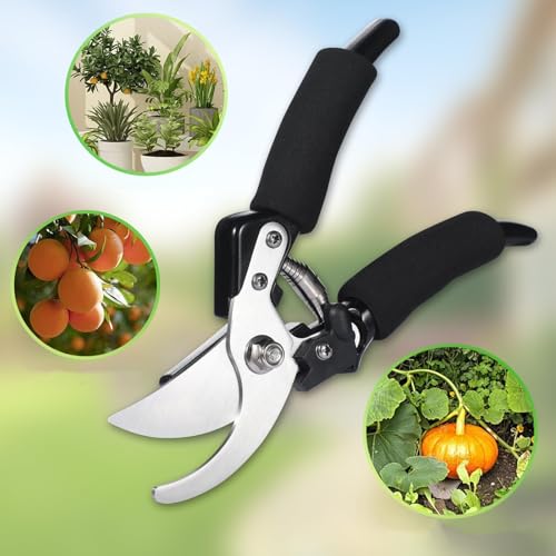 Garden Scissors for Plant, Tip Pruning Shears for Cutting Flowers, Trimming Plants, Bonsai and Fruits Picking (Black) - color: Black