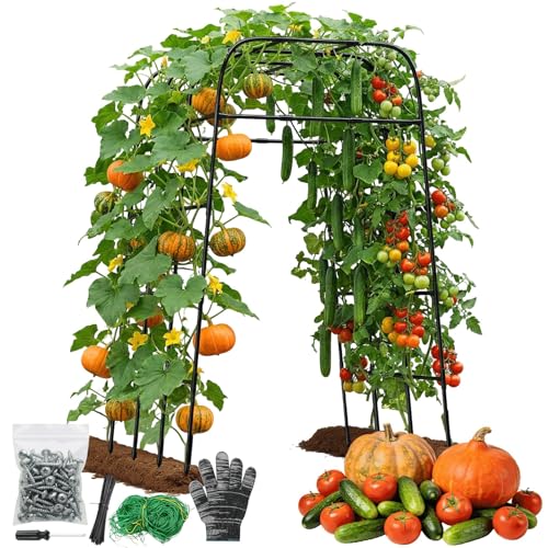 Garden Arch Trellis for Climbing Plants (83" H x 57" L), Metal Cucumber & Tomato Cage, Rustproof Walk-Through Tunnel Support for Pumpkin, Squash, Melon & Rose - style: 83" High x 57" Long (4-Arch)