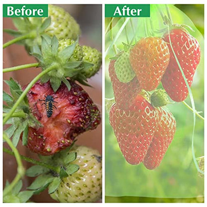 Fruit Protection Bags, Kikhope 20 Pcs 20x14 inch Fruit Netting Bags, Garden Fruit Cover Mesh Bag with Drawstring, Netting Barrier Bags for Plant Fruit Flower and Vegetables - size: 20x14 in (20 pcs)