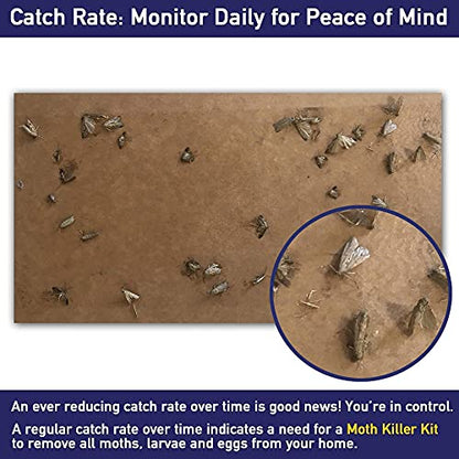 Powerful Clothes Moth Traps + Replacement Strips (9 Strips in Total) - Traps & Refills by MothPrevention - for Indoors, Home, Closets & Clothing
