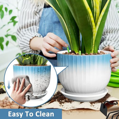 8 Inch Ceramic Plant Pot, Blue + White - color: Blue + White, size: 8 Inch(1 PCS)