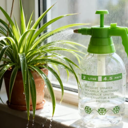 2L Garden Sprayer,Pressure Spray Bottle,Hand Pump Sprayer (2L Green) - color: 2L Green