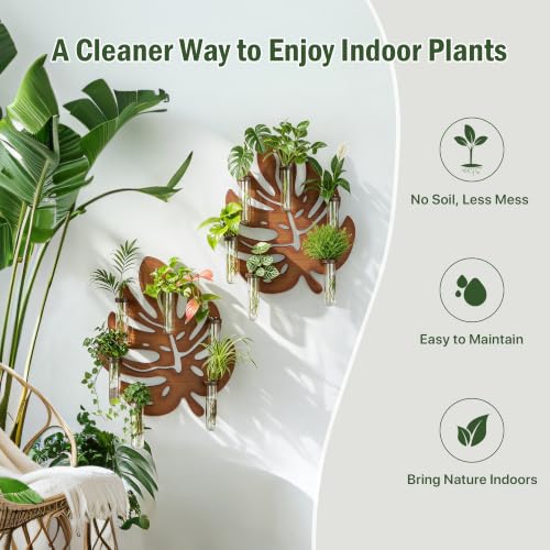 2 Pack Monstera Hanging Wall Planter, Plant Propagation Station - size: 2 Pack