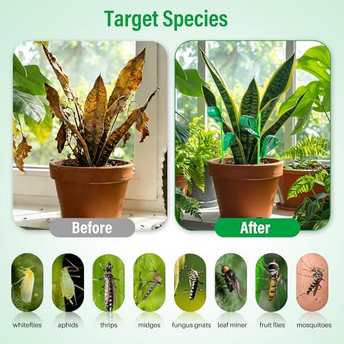 100 Pcs Gnat Sticky Traps for Plants, Sticky Traps for Gnats with 20 Stakes to Control, Aphids, Plant Bug, Mosquito Bits and Whiteflies(Green) - color: Green