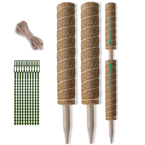 Fabulas Moss Pole 36 Inch - Monstera Plant Support, 2 Pack 20.5 Inch Plant Stakes for Indoor Plants Coco Coir Moss Pole Sticks for Climbing Potted Live Plants, Pothos, Philodendron, with Garden Ties - size: moss pole 20.5"x2pcs