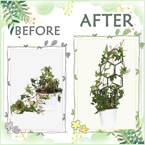 4 Pcs Plant Trellis Indoor Black Small Trellis for Potted Plants - style: Style 1