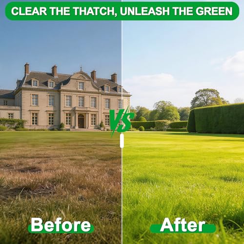 21-Tine Thatch Rake for Lawn,15" Heavy Duty Dethatcher Rake with 68" Handle - color: Green