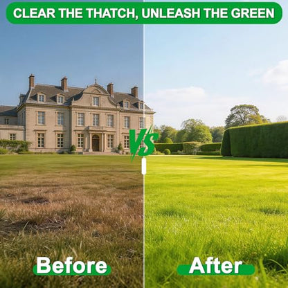 21-Tine Thatch Rake for Lawn,15" Heavy Duty Dethatcher Rake with 68" Handle - color: Green