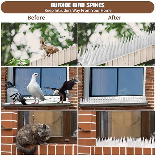 Bird Nail, 12 Piece Set of Outdoor Bird Deterrent, Keep Away from Squirrels, Pigeons, Raccoons, Garden Terrace Fence to Prevent Invasion and Stabbing (White) - color: white