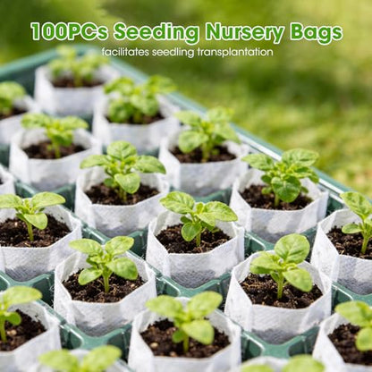 80 Cell Seed Starter Tray with Grow Light, 2 Pack Starter Kit - size: 80 Cell (2 Pack)