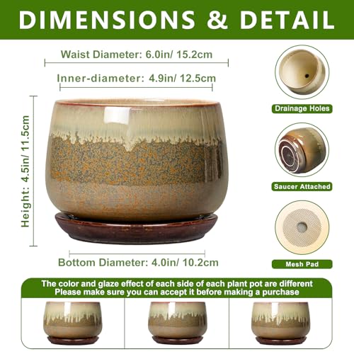 6 Inch Plant Pot - Ceramic Pots for Indoor Plants, Round Small Succulent Planter with Drainage and Saucer, Decorative Flower Pot, Office Room Decor, Gifts for Plant Lovers, Brown-Beige - size: 6 Inch, style: Brown-beige