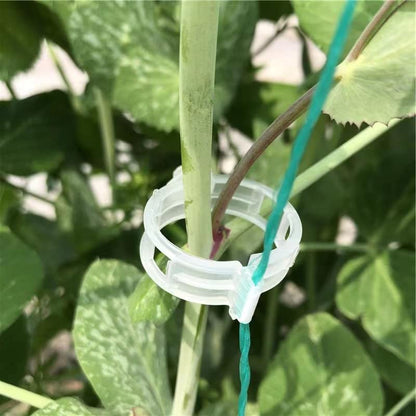 Piteno® 300Pcs Tomato Clips, Plastic Trellis Clips, Plant Support Clips, Grape Vine Tomato Vine Vegetables Plants Garden Support Clips to Grow Upright Makes Plants Healthier (Green) - color: Green