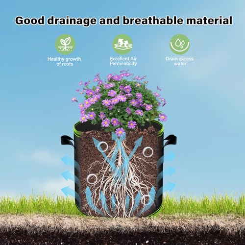 Plant Grow Bags 2-Pack 3 Gallon - Heavy Duty 300G Thickened Nonwoven Fabric Pots with Handles for Growing Potatoes, Tomatoes & Vegetables - size: 3 Gallon