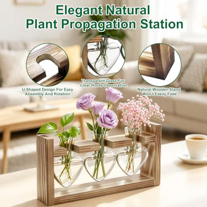Plant Terrarium Propagation Station Air Planter Bulb Glass Vase with Wooden Stand 3 Heart Shaped Glass Vases