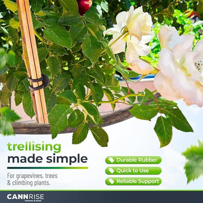 Anchor Bands for Trellising – 155-Pack 14 cm/5.5 in Rubber Vine Ties, UV-Protected Bands: Grapevines, Trees & Climbing Plants – Tool-Free Loop-and-Anchor Design for Install, Weatherproof - size: 155 pack / 5.5"
