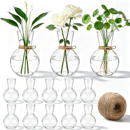 10 Pack Glass Plant Propagation Stations, Plant Terrarium Bulb Glass Propagation Vases with Hemp Rope, Clear Hydroponics Jars Gardening Gifts for Home Office Desk Decoration