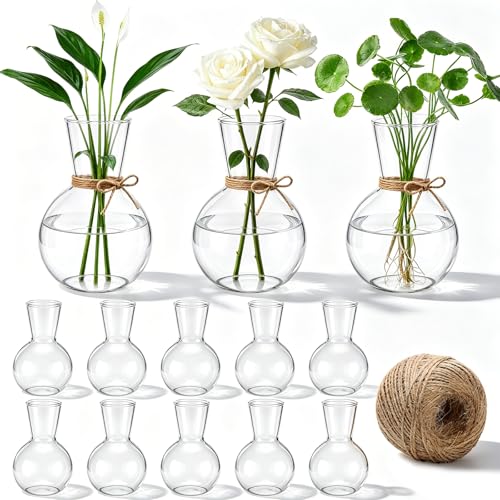 10 Pack Glass Plant Propagation Stations, Plant Terrarium Bulb Glass Propagation Vases with Hemp Rope, Clear Hydroponics Jars Gardening Gifts for Home Office Desk Decoration