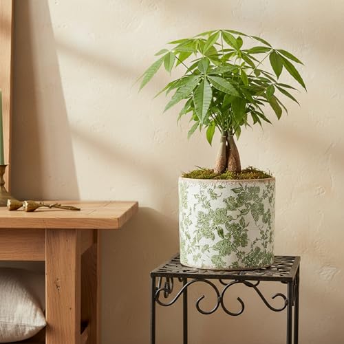 7.7" Large Green Plant Pots, Farmhouse Ceramic Flower Pots without Drainage - color: Distressed Sage, size: Large - No Drain Holes