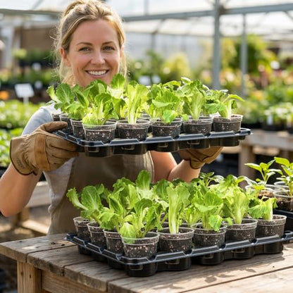 homenote 10 Pack 20 Cell Seed Starter Trays Compatible with 3 Inch Pots - size: 3 Inch, style: 10 Pack Seed Starter Tray