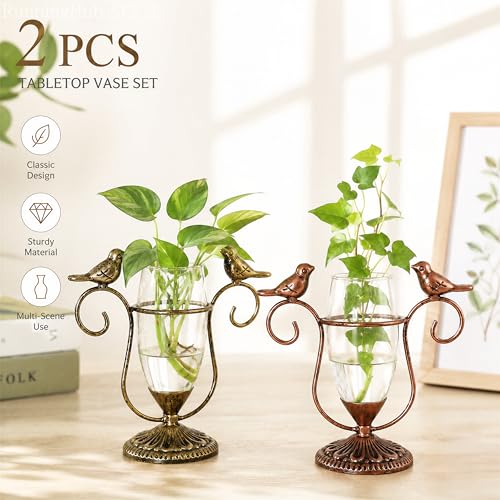2 Pack Desktop Plant Propagation Terrarium with Metal Stand - color: Bird, size: 7.1"×6.6"