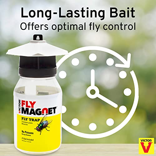 Terro T380 Outdoor Reusable Fly Magnet Fly Trap - Poison Free Trap with Bait (Pack of 2) - size: 2 Pack