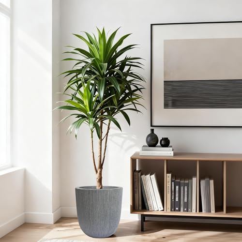 12.4"H Tapered Ribbed Lightweight Plastic Planter w/ Drainage Hole & Plug - color: Mediterranean Gray., size: 12.4in